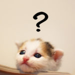 悩んでいる猫