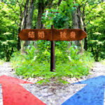 結婚、独身の分岐点