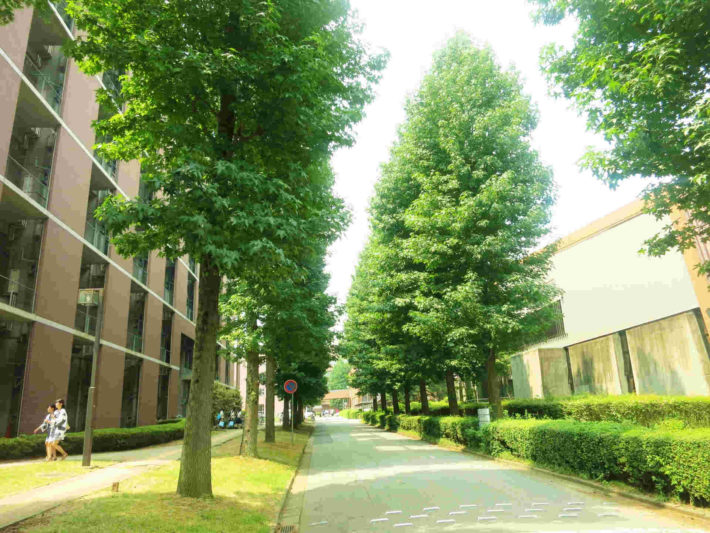 大学キャンパス内の風景